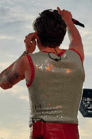 Harry-Styles-Love-On-Tour-Nordstern-Arena-Horsens-Top