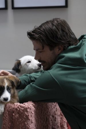 Max-Stevenson-Puppy-Love-2023-Grant-Gustin-Green-Hoodie