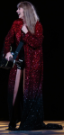 Taylor Swift Eras Tour 2023 Sequin Coat.