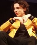 Timothée Chalamet The One Time He Wore That Yellow Jacket