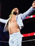 WWE RAW Seth Rollins Blue Suit.