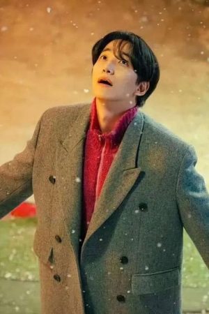 Typhoon Family Lee Jun-ho Grey Coat